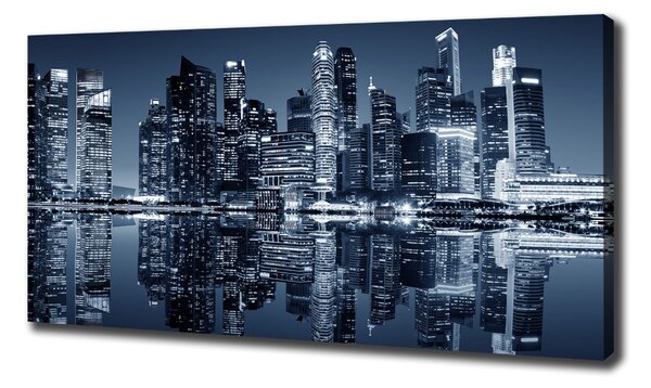 Pictură pe pânză Singapore timp de noapte
