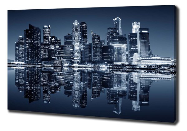 Pictură pe pânză Singapore timp de noapte