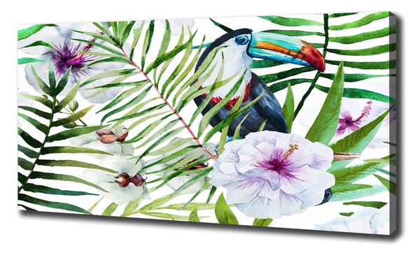 Print pe canvas Toucan Tropika