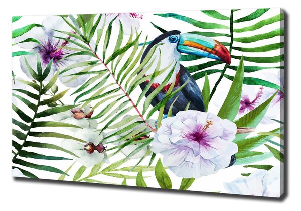 Print pe canvas Toucan Tropika