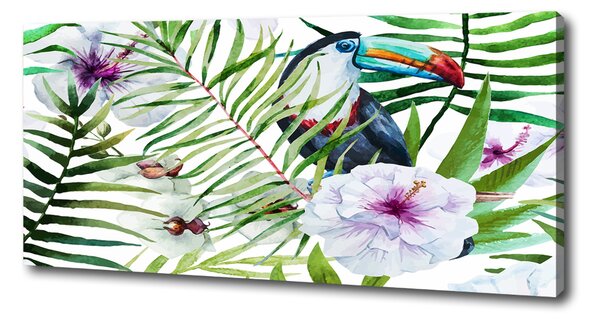 Print pe canvas Toucan Tropika