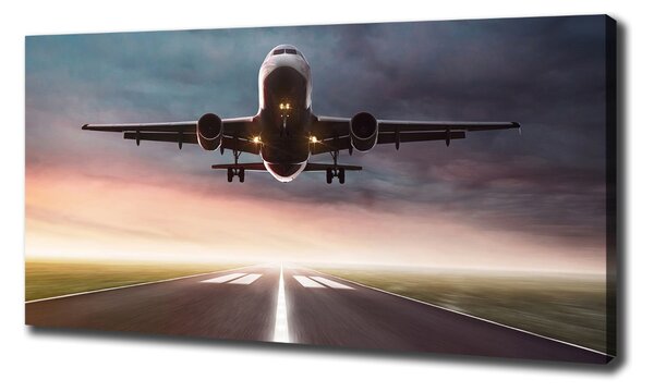 Imprimare tablou canvas avionul decolează
