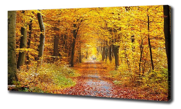 Tablou canvas pădure în toamna