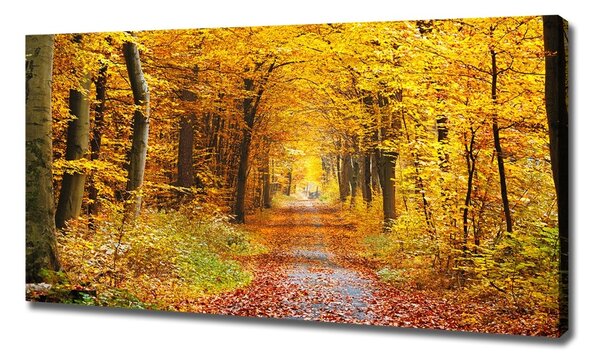 Tablou canvas pădure în toamna