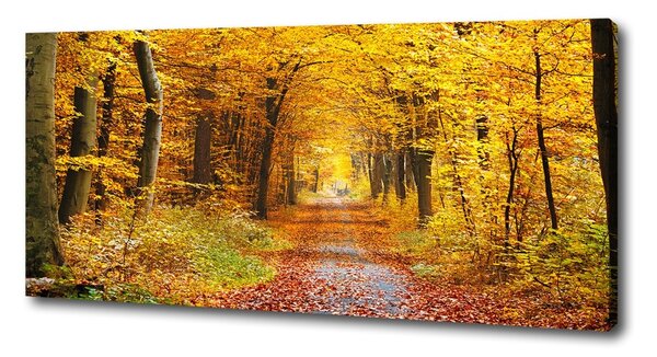Tablou canvas pădure în toamna