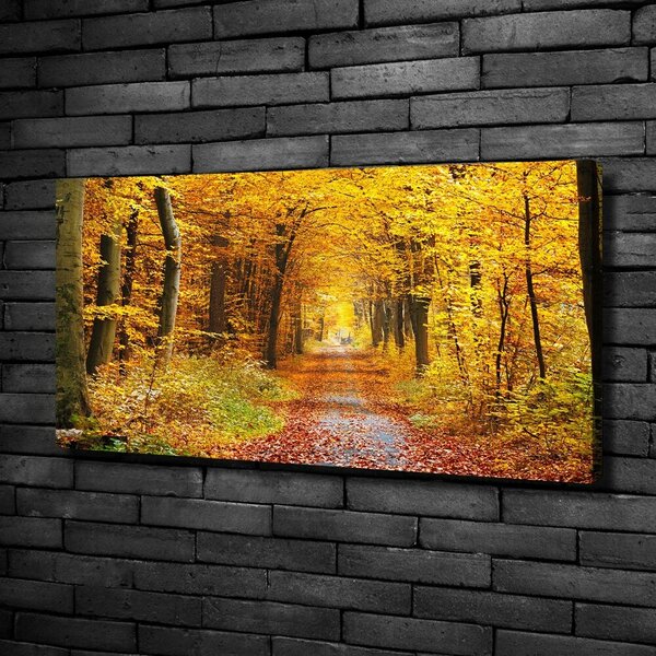 Tablou canvas pădure în toamna