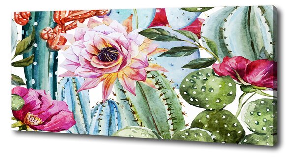 Tablou pe pânză canvas Cactuși și flori