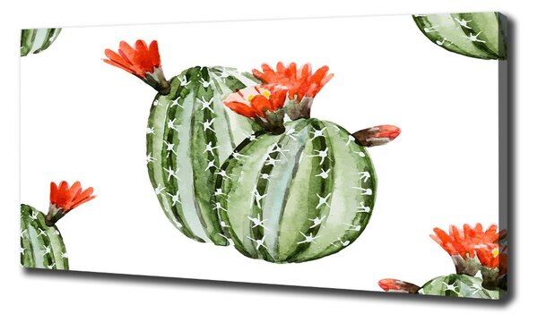 Pictură pe pânză cactuși