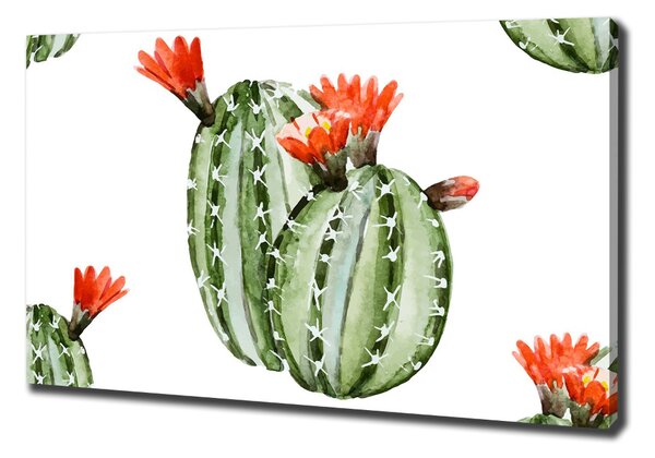Pictură pe pânză cactuși
