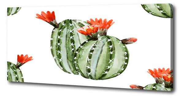 Pictură pe pânză cactuși