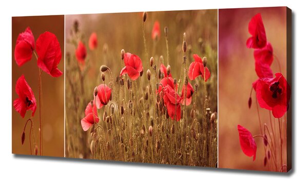 Imprimare tablou canvas maci triptic
