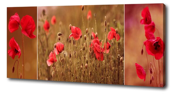 Imprimare tablou canvas maci triptic