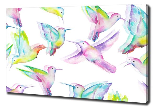 Tablouri tipărite pe pânză colibri