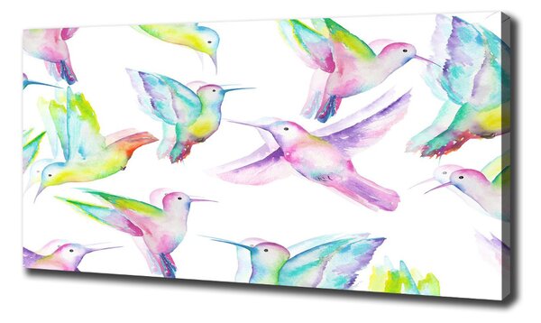 Tablouri tipărite pe pânză colibri