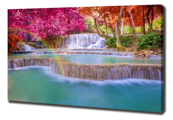 Tablou pe pânză Cascada din pădure
