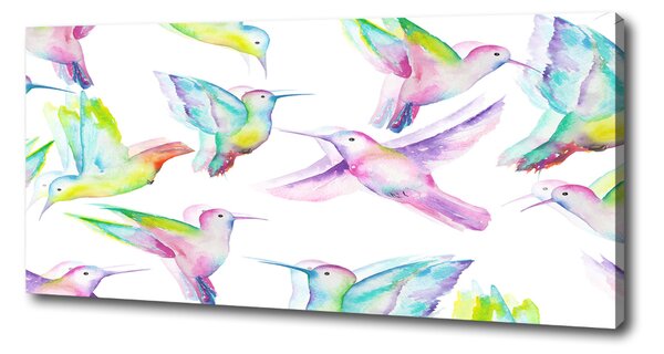 Tablouri tipărite pe pânză colibri