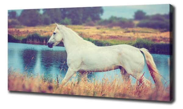 Tablou canvas White Lake Horse