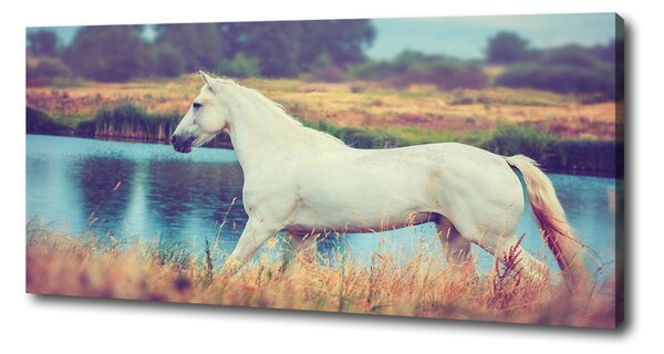 Tablou canvas White Lake Horse