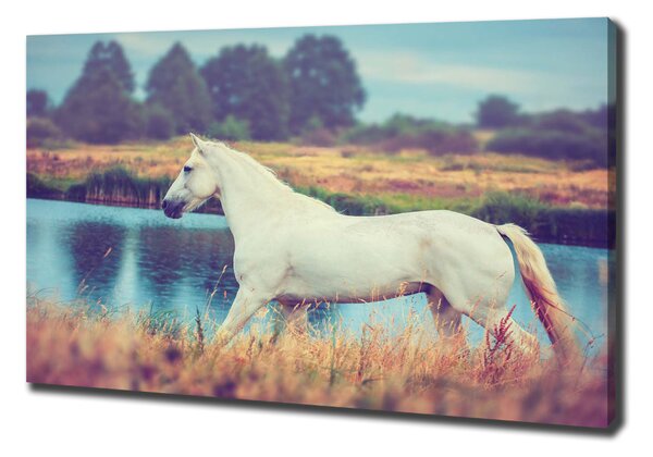 Tablou canvas White Lake Horse