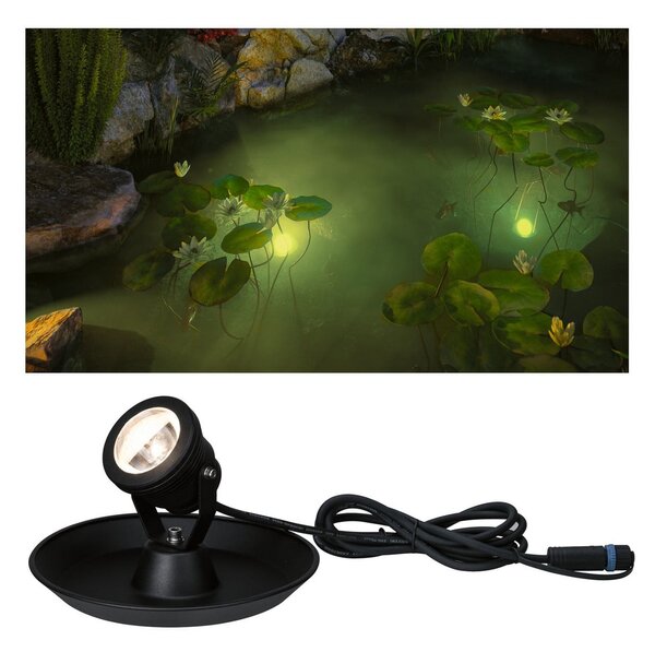 Paulmann Plug & Shine LED iaz spot subacvatic, reglabil, Negru, Metal, Modern