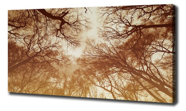 Imprimare tablou canvas pădure