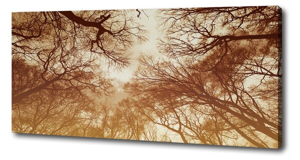 Imprimare tablou canvas pădure