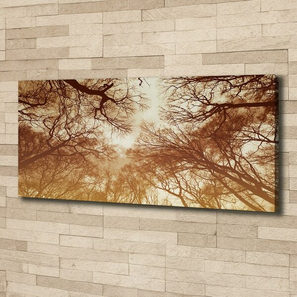 Imprimare tablou canvas pădure