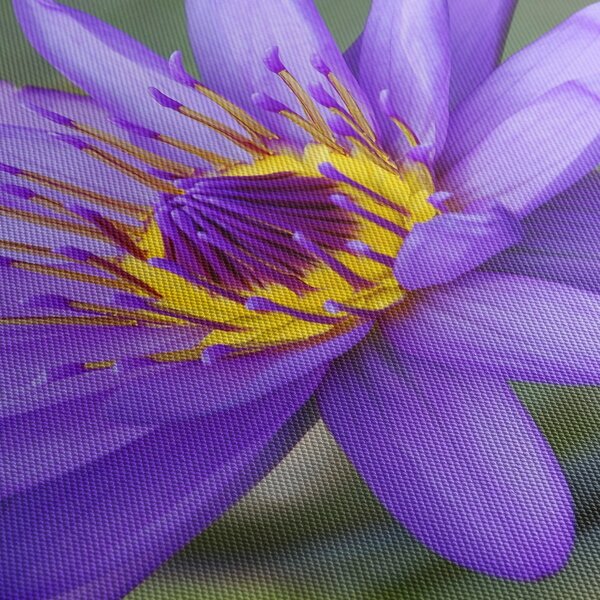 Tablou - Floare violet (90x60 cm)