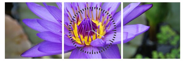 Tablou - Floare violet (cu ceas) (90x30 cm)