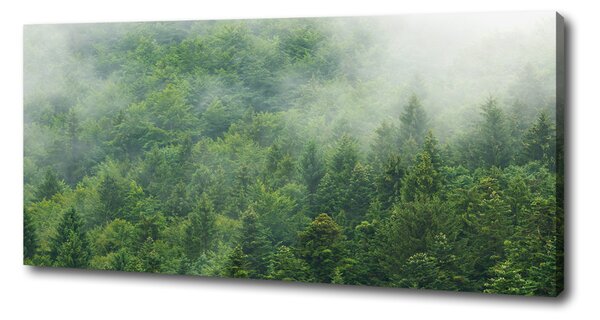 Tablouri tipărite pe pânză pădure misterioasă