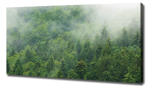 Tablouri tipărite pe pânză pădure misterioasă