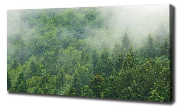 Tablouri tipărite pe pânză pădure misterioasă