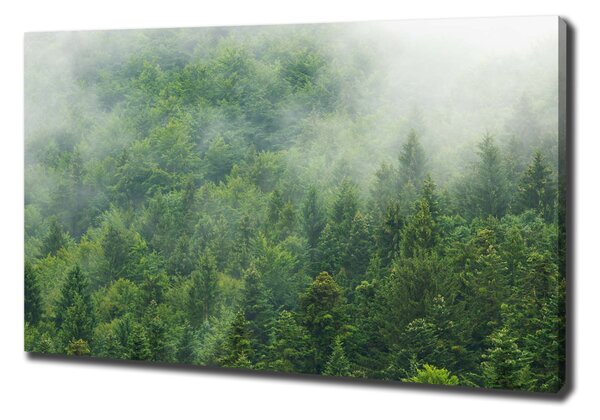 Tablouri tipărite pe pânză pădure misterioasă