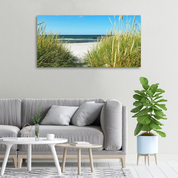 Tablou pe pânză canvas dune de coastă