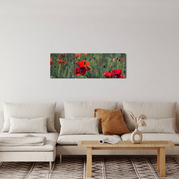 Tablou - Lunca cu maci (cu ceas) (90x30 cm)