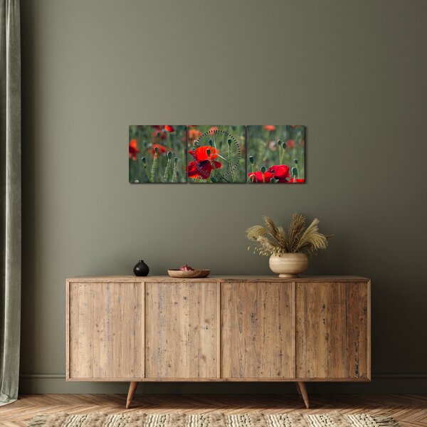 Tablou - Lunca cu maci (cu ceas) (90x30 cm)