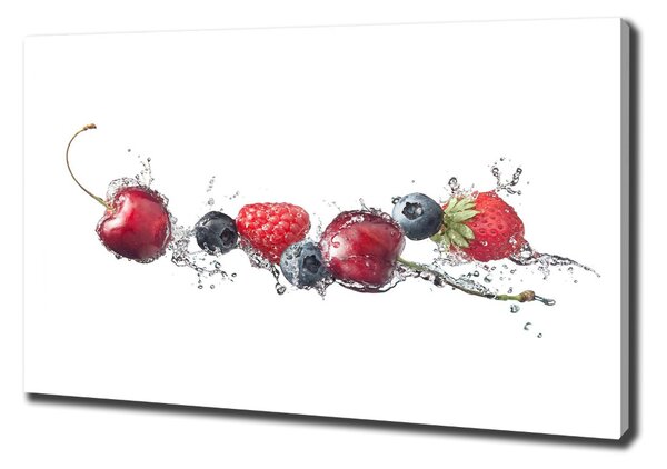 Tablou canvas fructe de padure