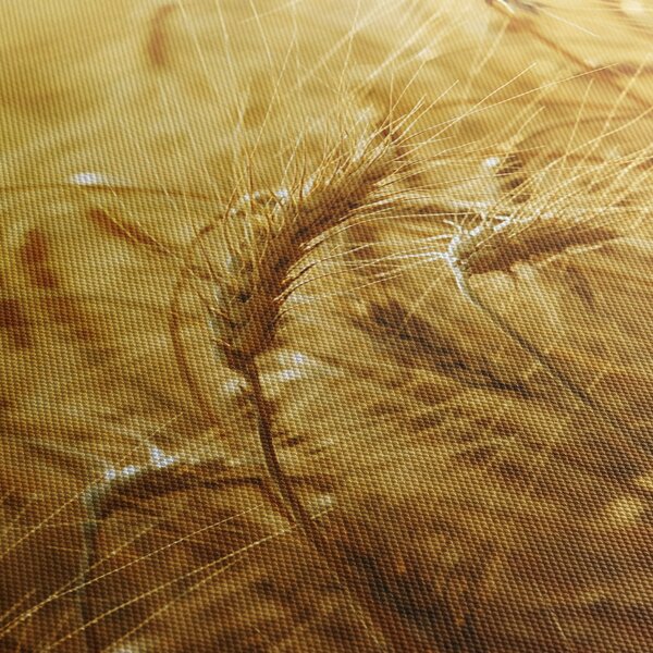 Tablou - Spice de cereale (120x50 cm)