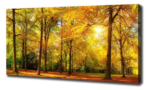 Tablouri tipărite pe pânză pădure în toamna