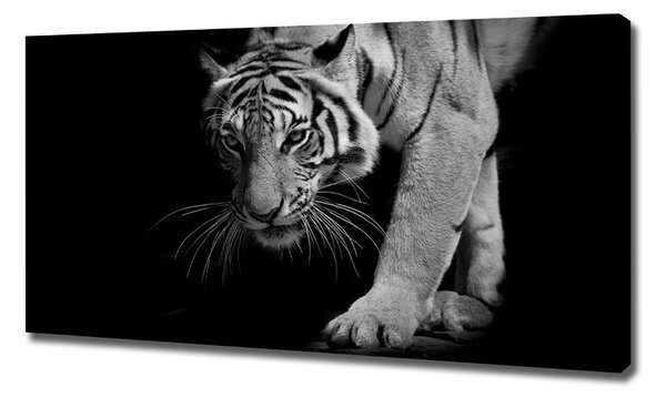 Tablou canvas Tigru