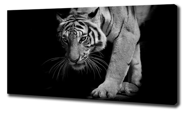 Tablou canvas Tigru