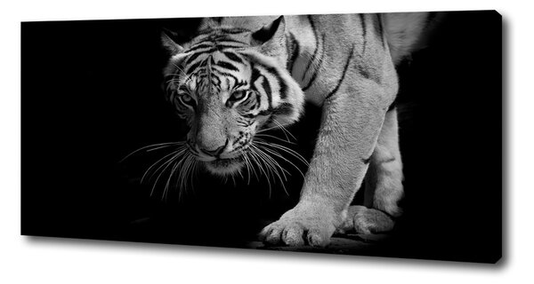 Tablou canvas Tigru
