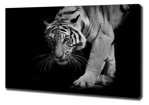 Tablou canvas Tigru