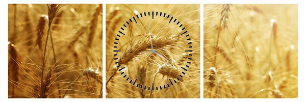 Tablou - Spice de cereale (cu ceas) (90x30 cm)