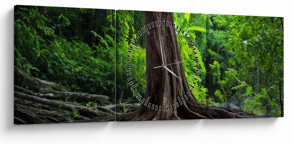 Tablou - Copac bătrîn cu rădăcini (cu ceas) (90x30 cm)