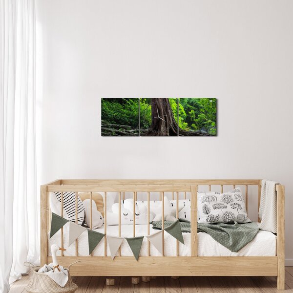 Tablou - Copac bătrîn cu rădăcini (cu ceas) (90x30 cm)