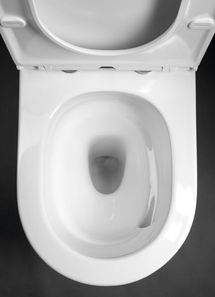 Sapho Sapho, vas combinat WC DARIO RIMLESS cu rezervor, deșeuri inferioară/spate, alb, PC106V