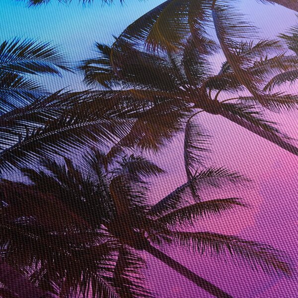 Tablou - Palmieri din Miami (90x60 cm)