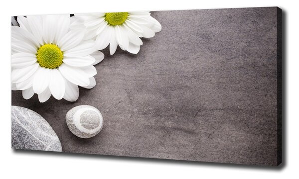 Tablou pe pânză canvas gerbera