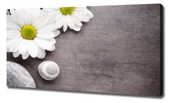 Tablou pe pânză canvas gerbera